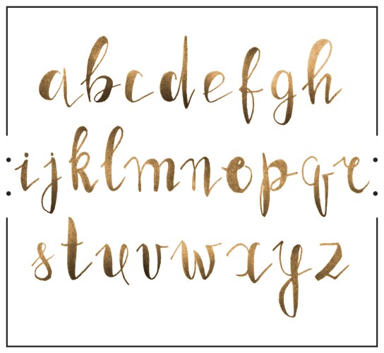 Handwritten calligraphic font alphabet written vector image