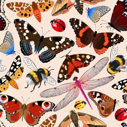 Butterfly seamless pattern Royalty Free Vector Image