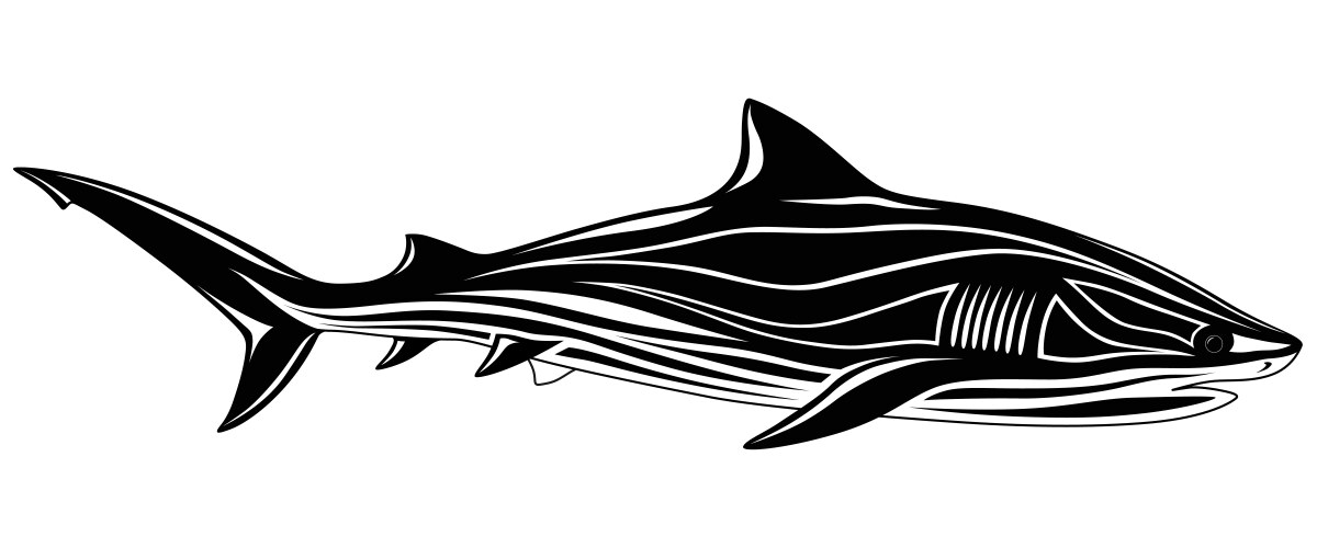 Tribal Shark Tattoo Vector Images (over 220)