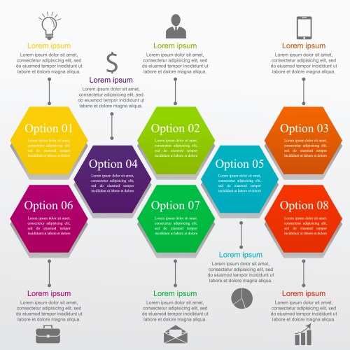 infographic business template vector image