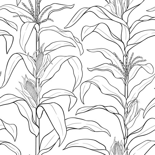 Corn plant frame on white background Royalty Free Vector