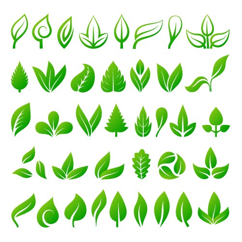 Green leaf icons collection Royalty Free Vector Image