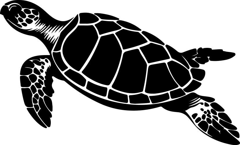 Turtle silhouette white background Royalty Free Vector Image
