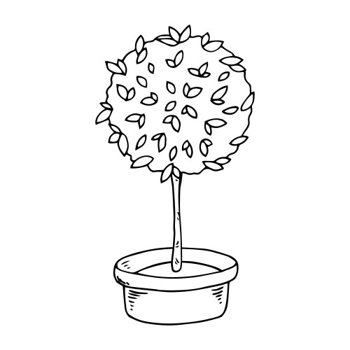 Elegant Flower Tree in Pot Vector Image