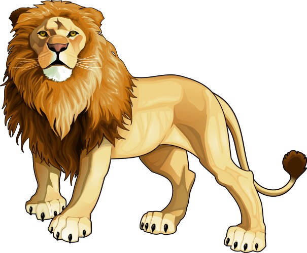 Lion king vector image