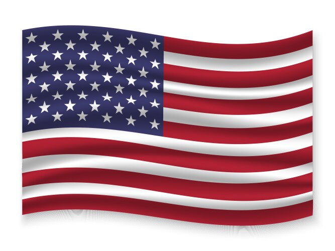 3d waving flag Vector Image