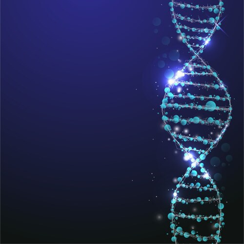 Abstract hexagonal structure molecule made Vector Image