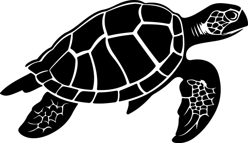 Turtle silhouette white background Royalty Free Vector Image