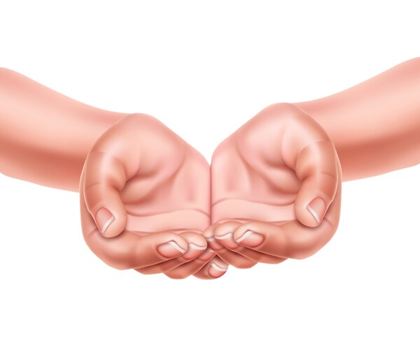 Realistic holding hands isolated Royalty Free Vector Image