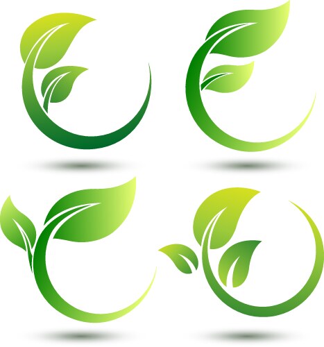 Green leaf Royalty Free Vector Image - VectorStock