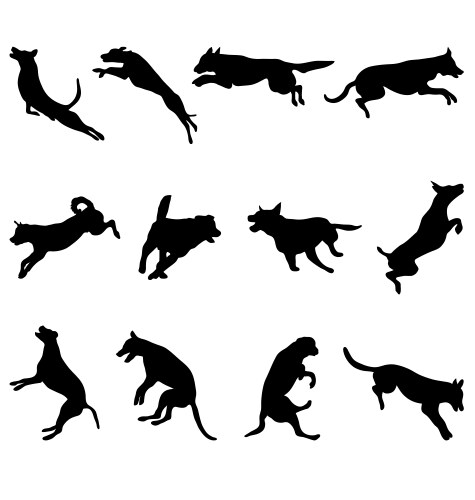 Jumping Dogs Silhouettes Vector Image