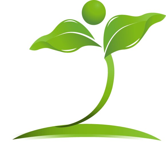 Green leaf skin care logo Royalty Free Vector Image