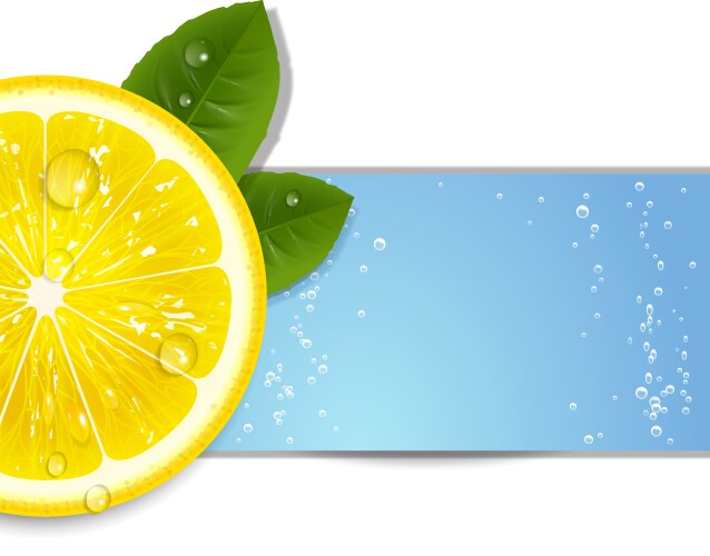Lemon fresh composition Royalty Free Vector Image