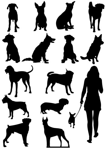 Dog breeds silhouettes set showing different Vector Image