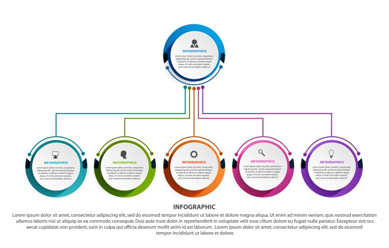 Business hierarchy infographic organization chart Vector Image