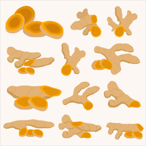 Turmeric Vector Images (over 3,100)
