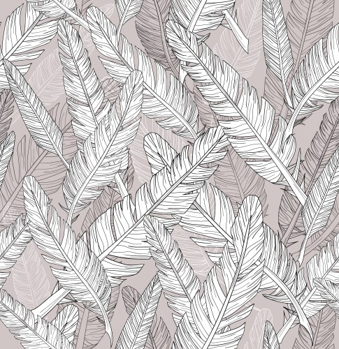 Feathers Vector Images (over 280,000)