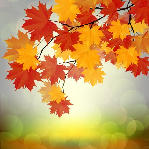 Vintage autumn background leaf fall Royalty Free Vector