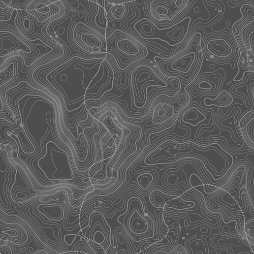 Seamless pattern topographic map background Vector Image