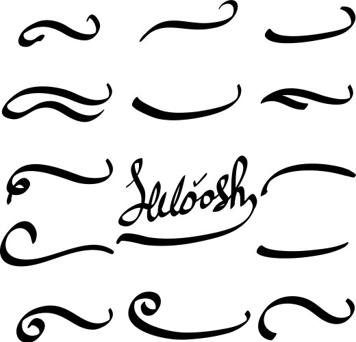 typographic swash and swooshes tails handdrawn vector image