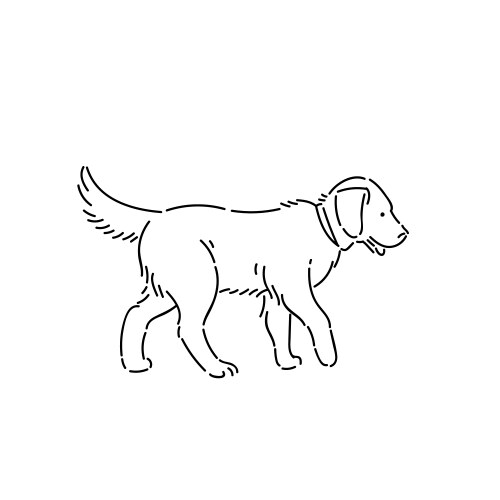 Elegant Labrador Retriever Line Art Vector Image