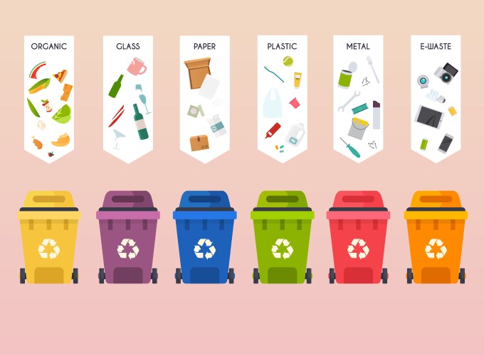 Recycle infographic waste types segregation vector image