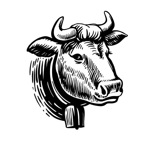 Cow head black on white sketch style Vector Image