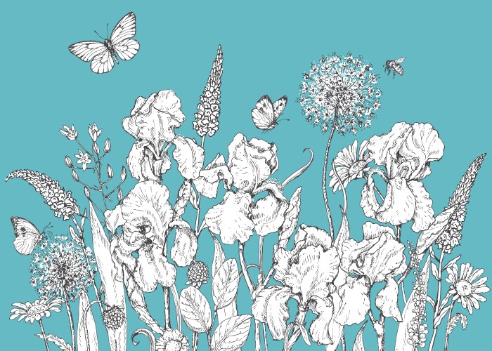 Wildflower Iris Sketch Vector Image