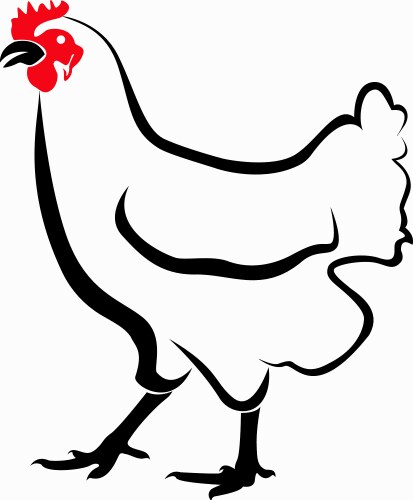 Hen line draw Vector Image