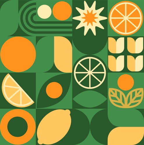 Abstract geometric fruit pattern shapes Royalty Free Vector