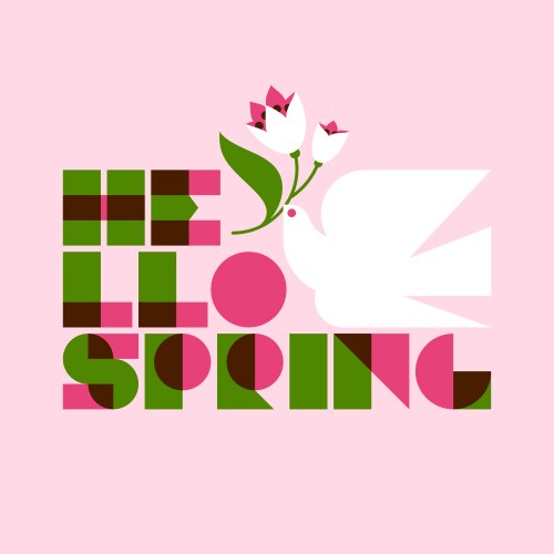 hello spring lettering and white dove with flower vector image