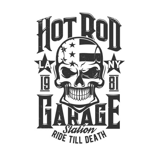 Skull with American Flag T-Shirt Vector Image