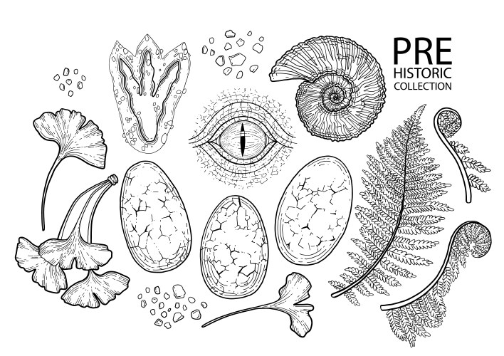 graphic prehistoric collection vector image