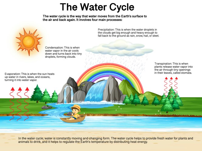 Water cycle black and white Royalty Free Vector Image