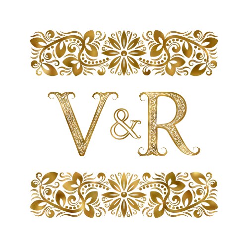 V and r vintage initials logo symbol letters Vector Image
