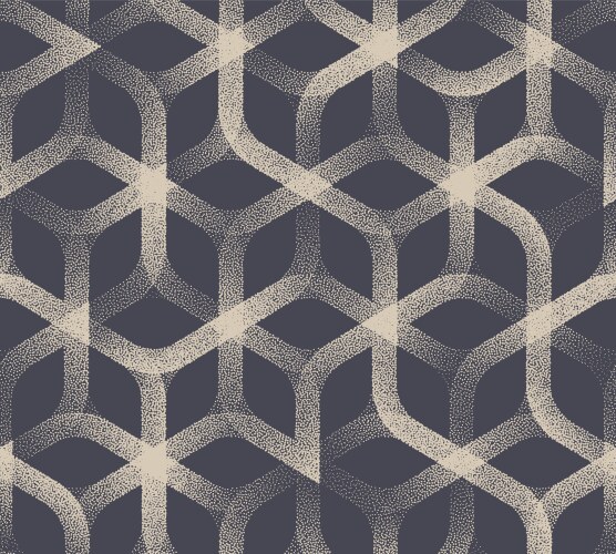 Intricate Hexagonal Lattice Pattern vector image