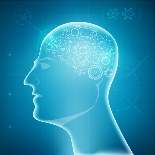 Brain preview vector image