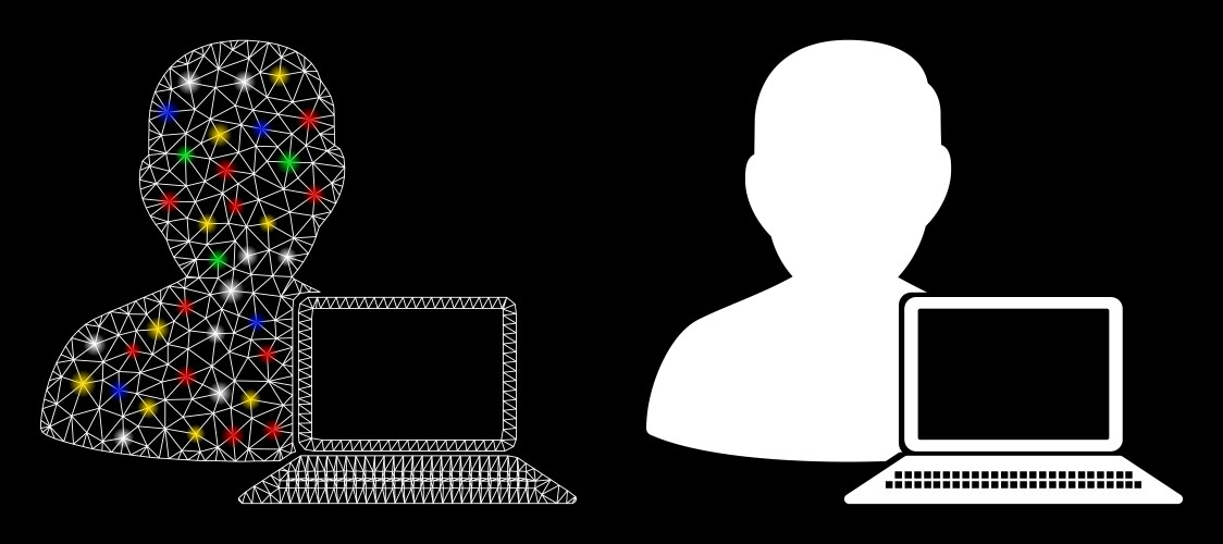Flare mesh carcass computer programmer icon vector image