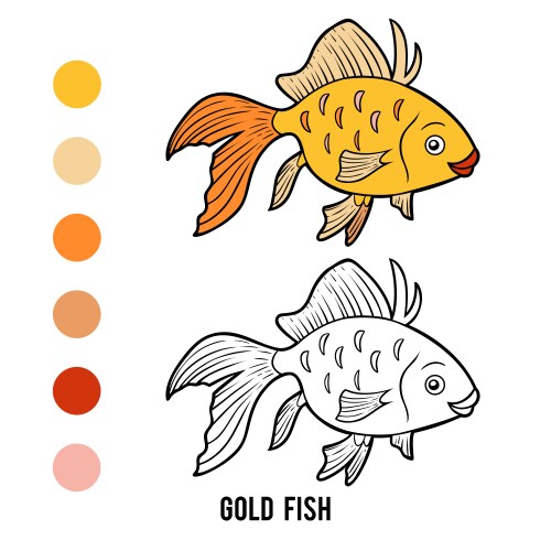 Coloring book goldfish vector image