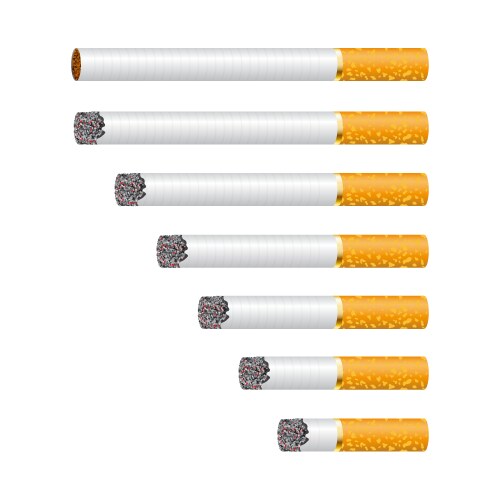 cigarette smoldering isolated vector