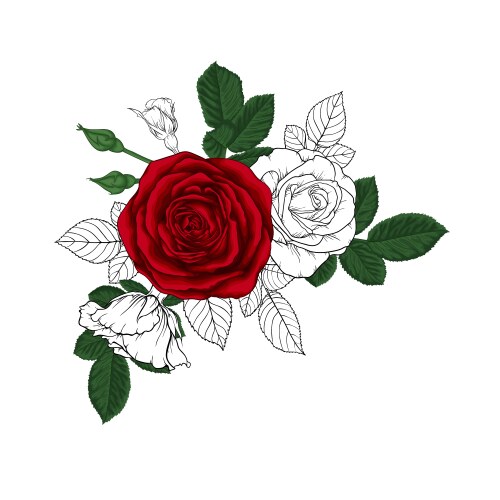 Elegant Red Rose Sketch Bouquet Vector Image