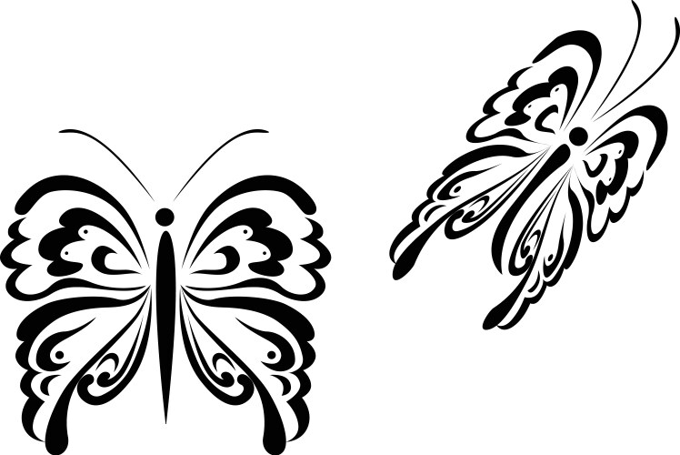 Butterfly tattoo vector image