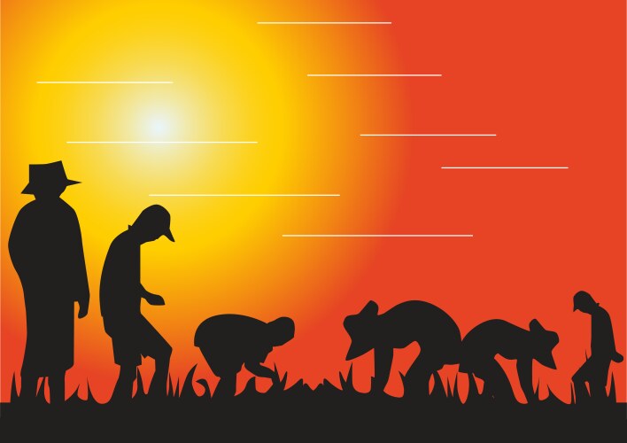 Cows plowing field with farmer agriculture scene Vector Image