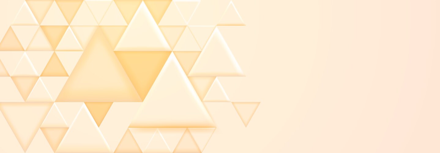 abstract background with triangular shapes vector image