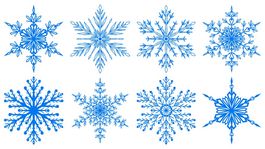 Winter Snowflake Collection Vector Image