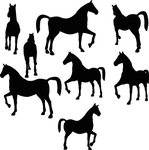 Horse silhouette isolated on white Vector Image