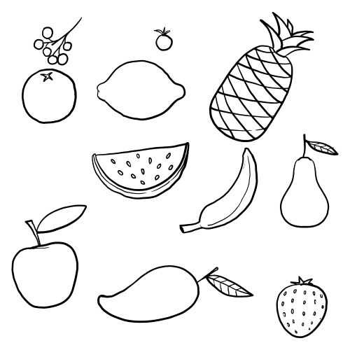 hand drawn doodle fruits natural tropical fruit vector image