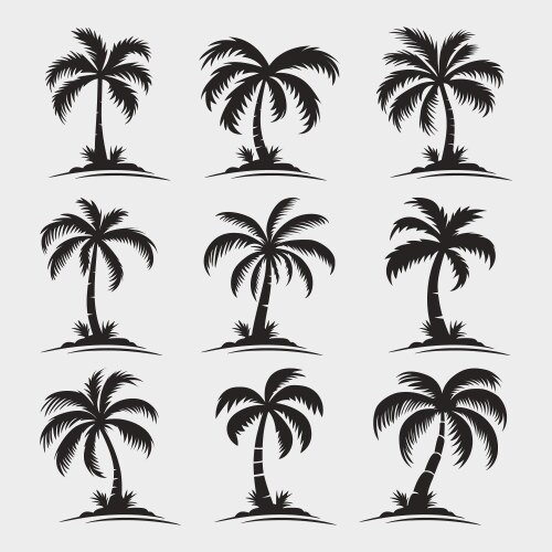 palm trees tree icon set isolated vector