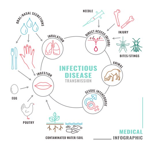 infectious disease transmission vector image