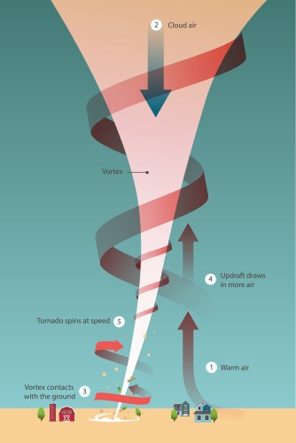 Tornado Storm Damage – Royalty-Free Vector | VectorStock